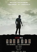 我的团长我的团            (2009)