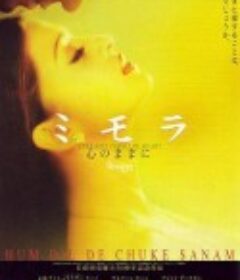 何日君能知我心 Hum Dil De Chuke Sanam            (1999)