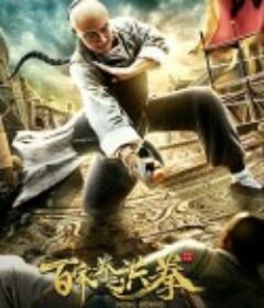 百家拳之洪拳            (2020)