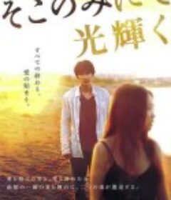 只在那里发光 そこのみにて光輝く            (2014)