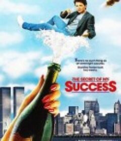 成功的秘密 The Secret of My Succe$s            (1987)