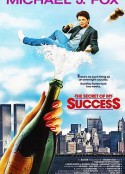 成功的秘密 The Secret of My Succe$s            (1987)