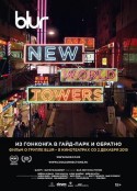 模糊乐队：新世界大厦 Blur: New World Towers            (2015)