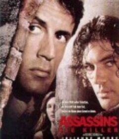 刺客战场 Assassins            (1995)