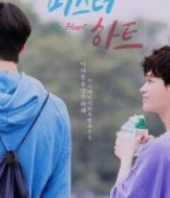 匆匆心动 미스터하트            (2020)