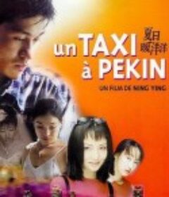 夏日暖洋洋            (2001)