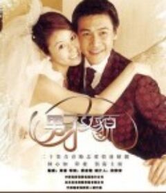 男才女貌            (2003)