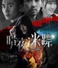 暗夜迷踪            (2020)
