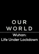 武汉：封城人生 Our World, Wuhan: Life under Lockdown            (2020)