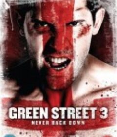 足球流氓3 Green Street 3: Never Back Down            (2013)