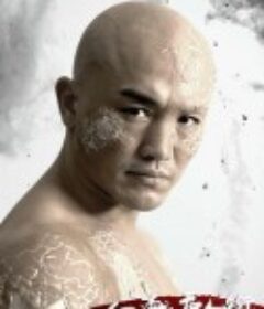 血战唐人街            (2020)