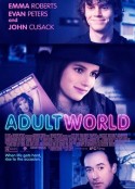 成人世界 Adult World            (2013)