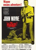 哈泰利 Hatari!            (1962)