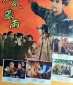 暴风骤雨            (1961)