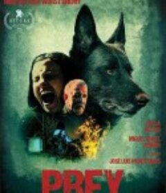 夺魂索 Cuerdas            (2018)