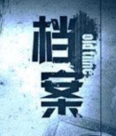 档案            (2009)