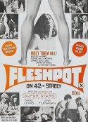 肉欲的42街 Fleshpot on 42nd Street            (1973)