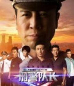 刑警队长            (2015)