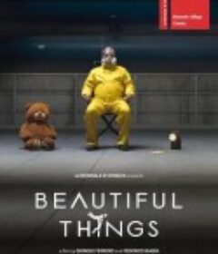 一些美好的事物 Beautiful Things            (2017)