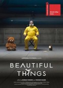 一些美好的事物 Beautiful Things            (2017)