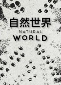 自然世界 第一季 Natural World Season 1            (2019)