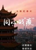 同心战“疫”            (2020)
