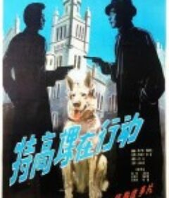 特高课在行动            (1981)