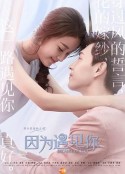 因为遇见你            (2017)