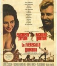 驯悍记 The Taming of the Shrew            (1967)