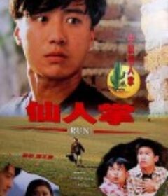 仙人掌            (1994)