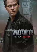 青年维兰德 第一季 Young Wallander Season 1            (2020)
