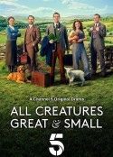 万物生灵 第一季 All Creatures Great and Small Season 1            (2020)
