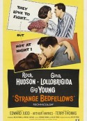 同床异梦 Strange Bedfellows            (1965)