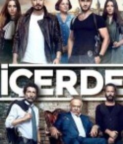 内情 İçerde            (2016)