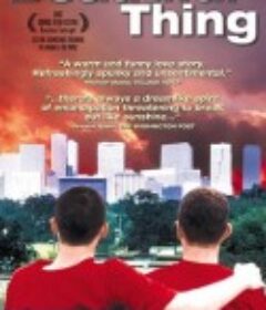 美好事物 Beautiful Thing            (1996)