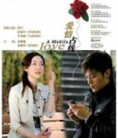 爱情占线            (2008)