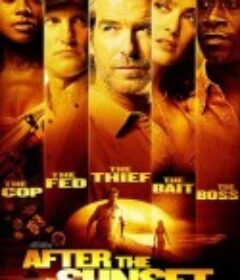 日落之后 After the Sunset            (2004)