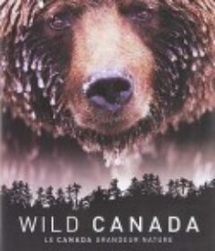 野性加拿大 第一季 Wild Canada Season 1            (2014)