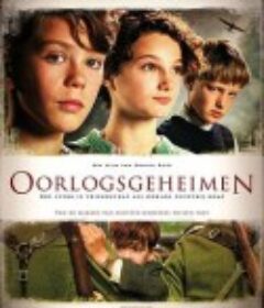 战争的秘密 Oorlogsgeheimen            (2014)