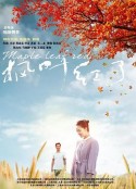 枫叶红了            (2020)