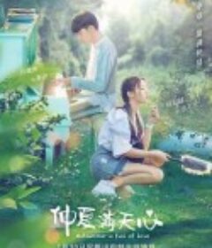 仲夏满天心            (2020)