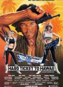 落霞征雁 Hard Ticket to Hawaii  限制级   (1987)