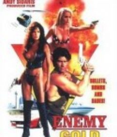 执法女先锋 Enemy Gold   限制级    (1993)