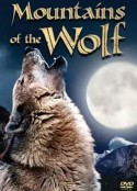 狼山传奇 The Mountains Of The Wolf            (2009)