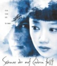 落在香杉树的雪花 Snow Falling on Cedars            (1999)