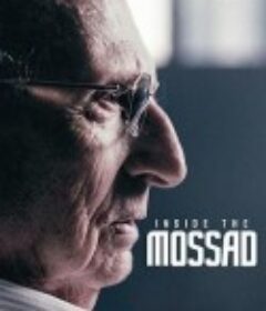 摩萨德：以色列情报机密档案 The Mossad: Imperfect Spies            (2018)