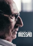 摩萨德：以色列情报机密档案 The Mossad: Imperfect Spies            (2018)