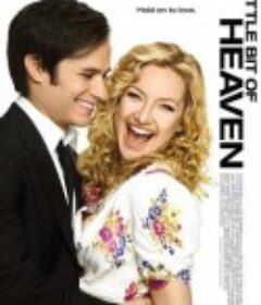 天使的微笑 A Little Bit of Heaven            (2011)