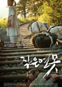 小小莲池 작은 연못            (2009)