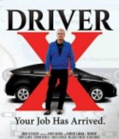 X驾驶员 DriverX            (2016)